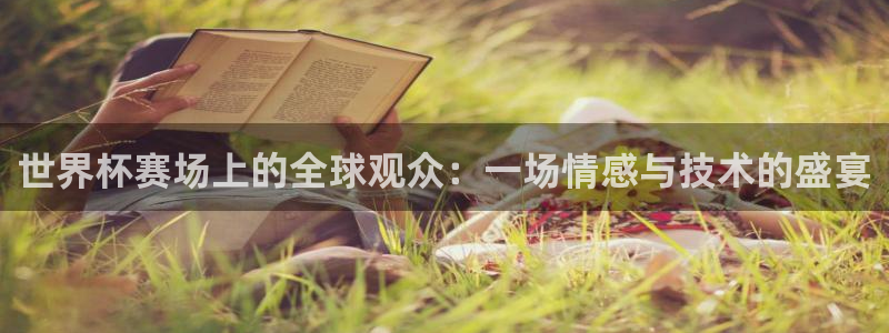 世界杯直播网站：世界杯赛场上的全球观众：一场情感与技术的盛宴