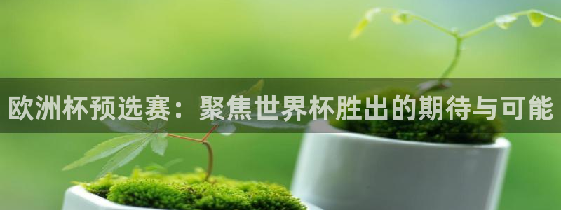 世界杯亚洲预选赛18强赛程：欧洲杯预选赛：聚焦世界杯胜出的期待与可能