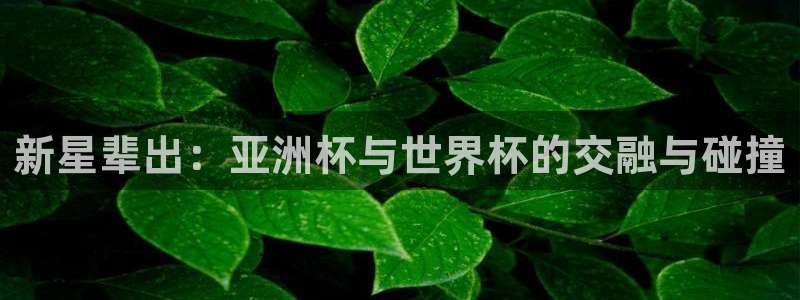 世界杯赛程表：新星辈出：亚洲杯与世界杯的交融与碰撞