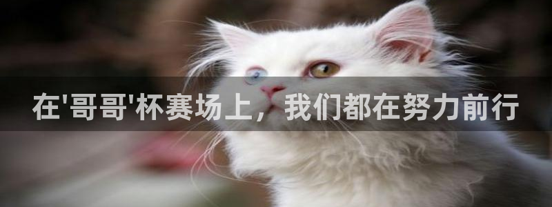 亚洲杯比赛直播：在\'哥哥\'杯赛场上，我们都在努力前行