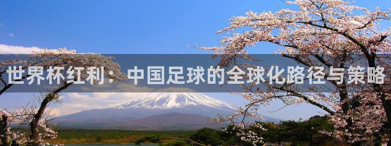 2026年足球世界杯赛程时间表：世界杯红利：中国足球的全球化路径与策略