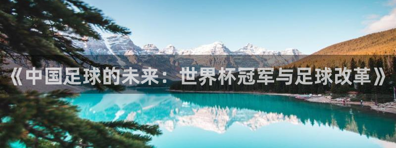 2026男足世界杯赛程：《中国足球的未来：世界杯冠军与足球改革》