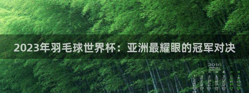世界杯直播：2023年羽毛球世界杯：亚洲最耀眼的冠军对决