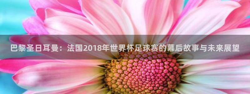 法国杯2026赛程表：巴黎圣日耳曼：法国2018年世界杯足球赛的幕后故事与未来展望
