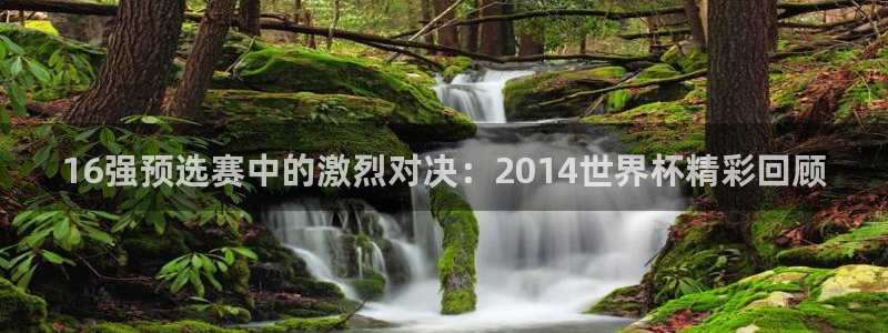 世界杯足球比赛：16强预选赛中的激烈对决：2014世界杯精彩回顾