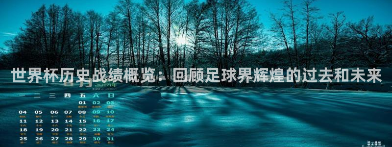 世界杯直播在线观看入口：世界杯历史战绩概览：回顾足球界辉煌的过去和未来