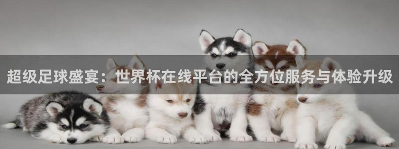 2026世界杯赛程时间表最新：超级足球盛宴：世界杯在线平台的全方位服务与体验升级