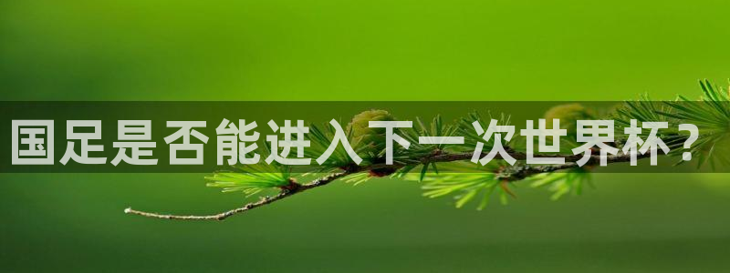 世界杯葡萄牙赛程：国足是否能进入下一次世界杯？