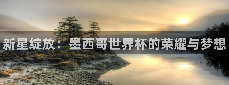世界杯欧洲区预选赛赛程：新星绽放：墨西哥世界杯的荣耀与梦想